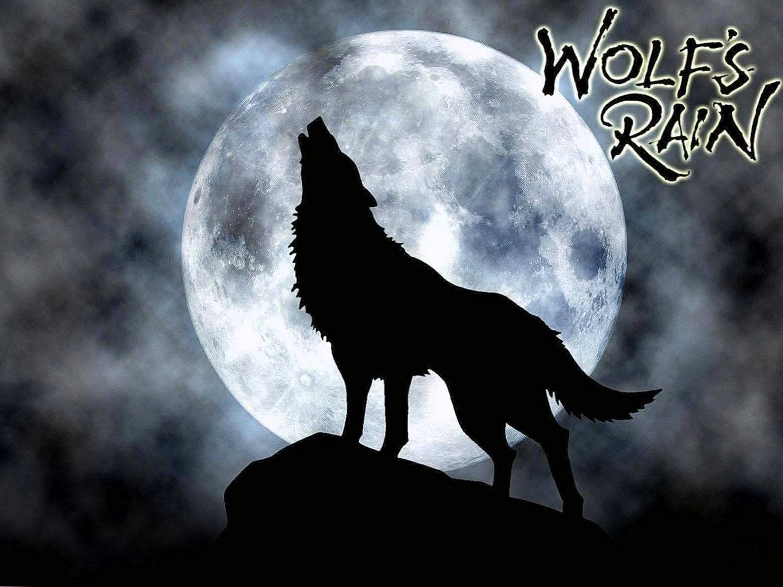 Wolf Howling On The Moon Wallpapers