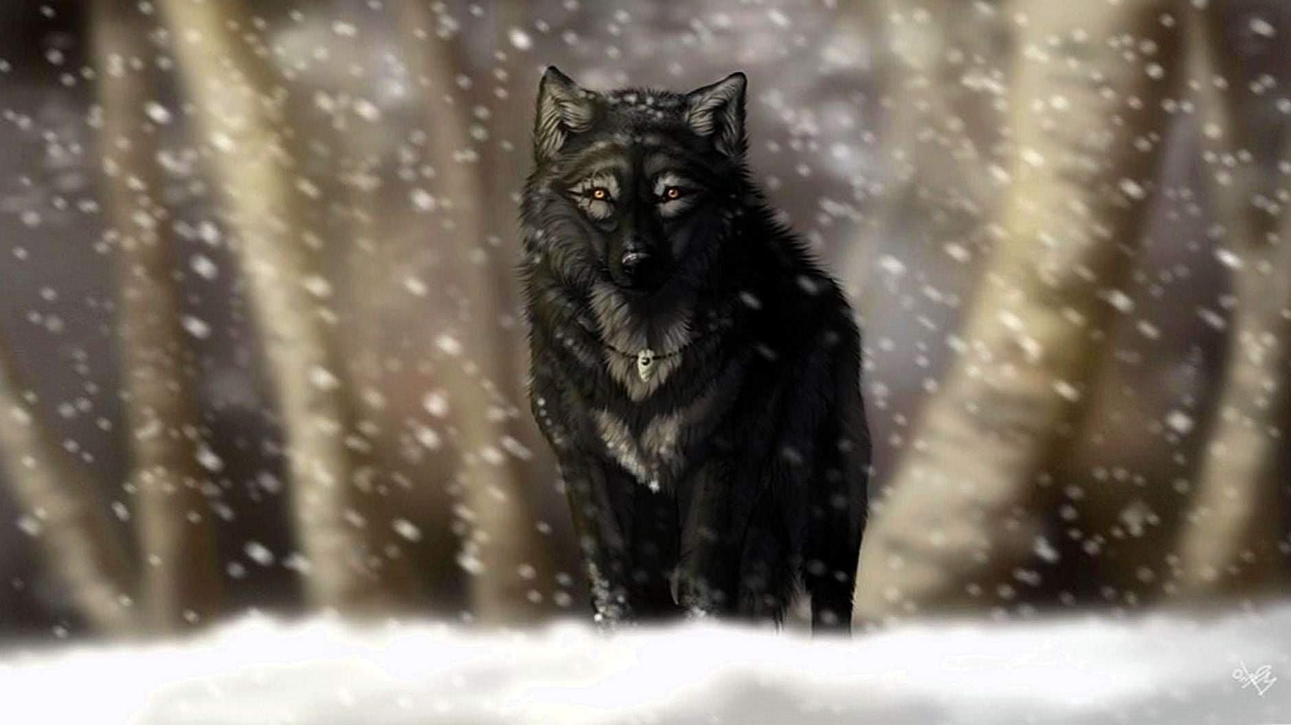 Black Wolf Wallpapers 1920x1080 Wolf Wallpapers Pro