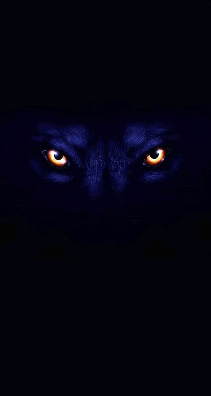 Dark Wolf Wallpaper iPhone Image 1