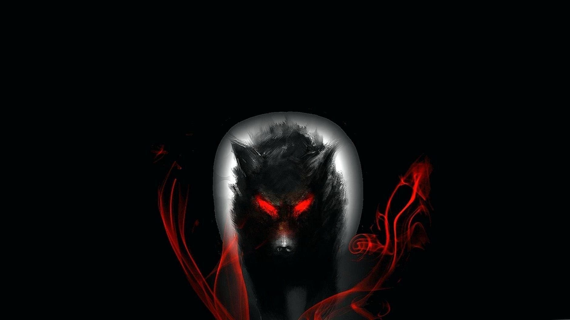 wallpaper hd dark wolf background image 5