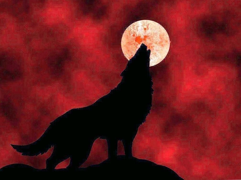 wolf blood moon wallpaper background image 5