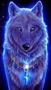 Blue Wolf Wallpaper Zedge Image 1