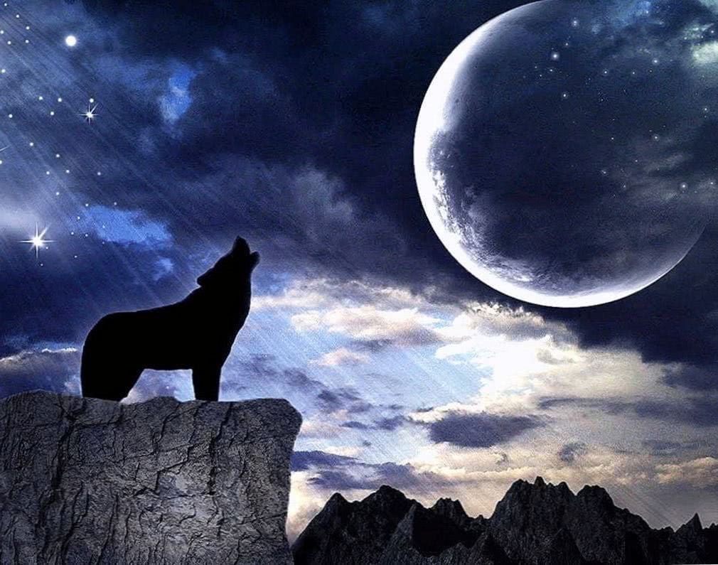 Wallpaper Dark Moon Wolf Image 1