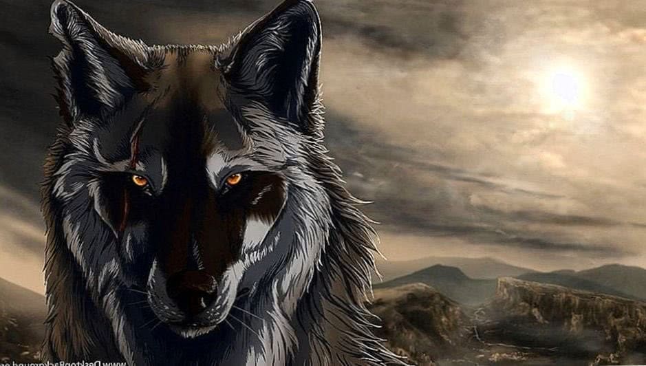 Wallpaper PS3 Wolf Image 1
