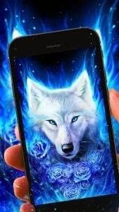 Arctic Wolf Live Wallpapers