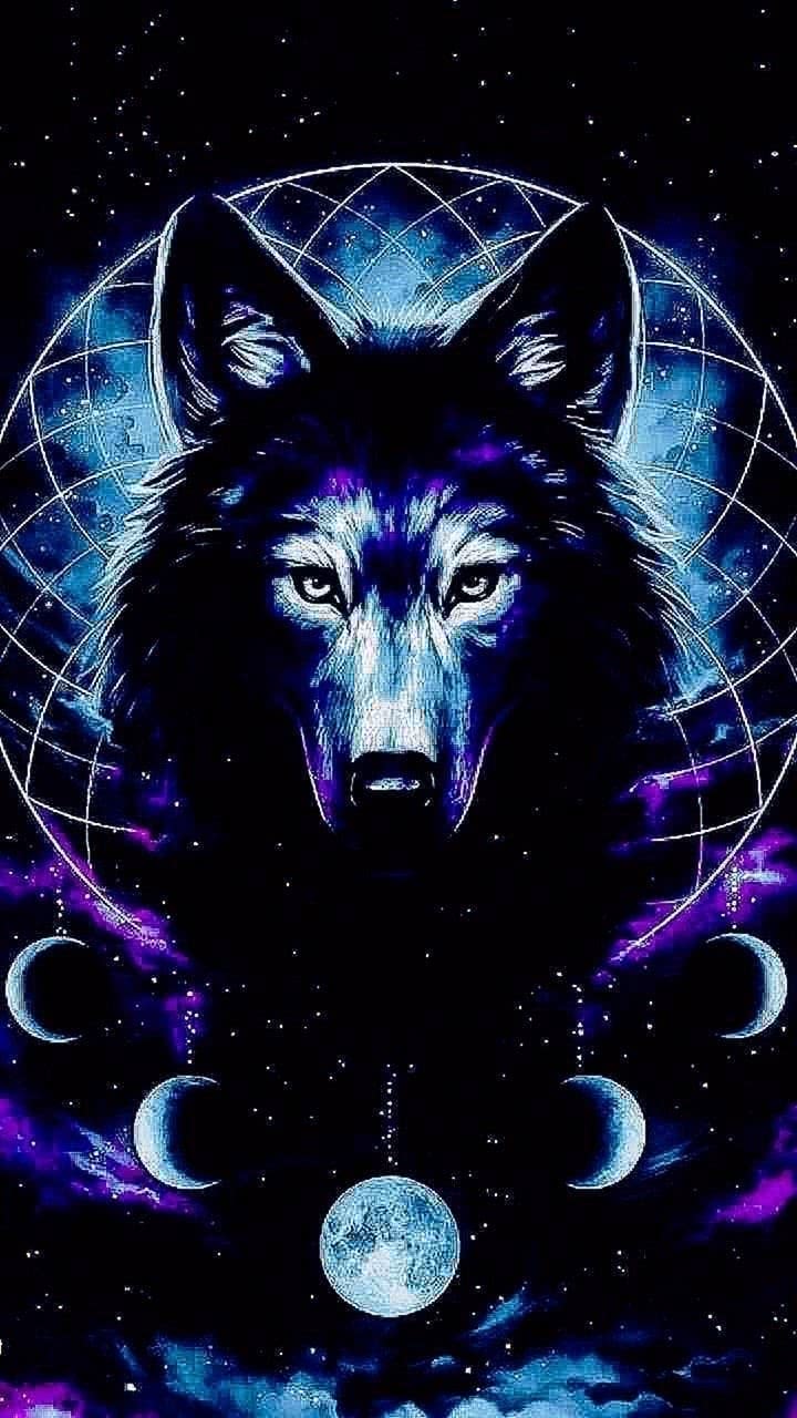 Cool Blue Wolf Wallpaper Image 17
