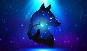 Cool Blue Wolf Wallpaper Image 19