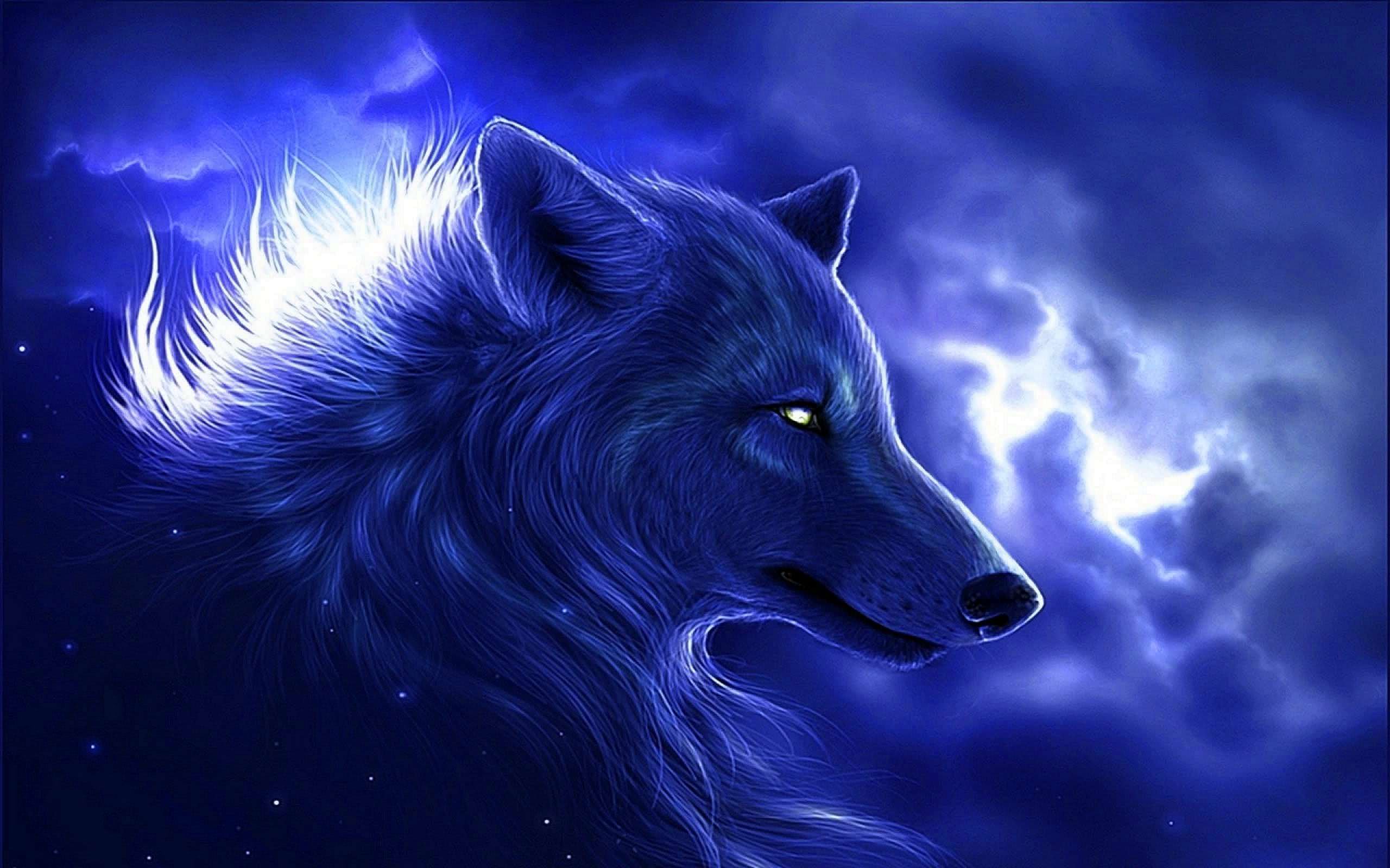 Cool Blue Wolf Wallpaper Image 22