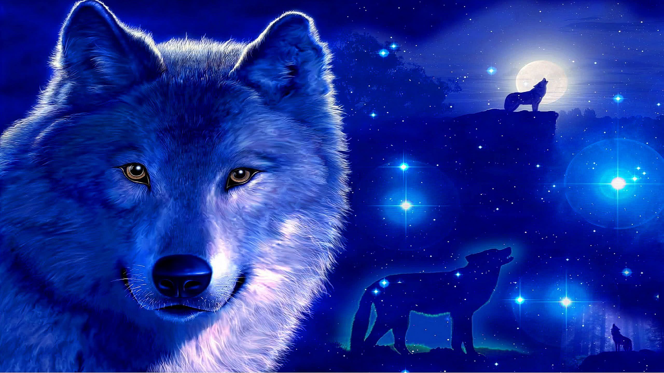 Cool Blue Wolf Wallpaper Image 35