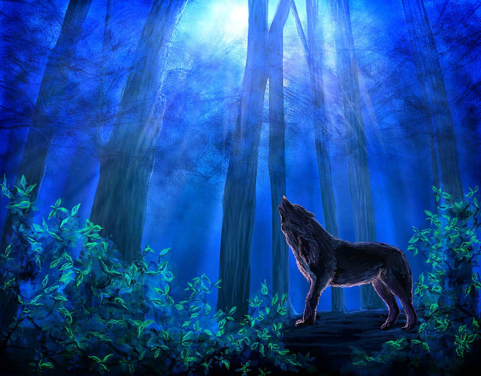 Cool Blue Wolf Wallpaper Image 37