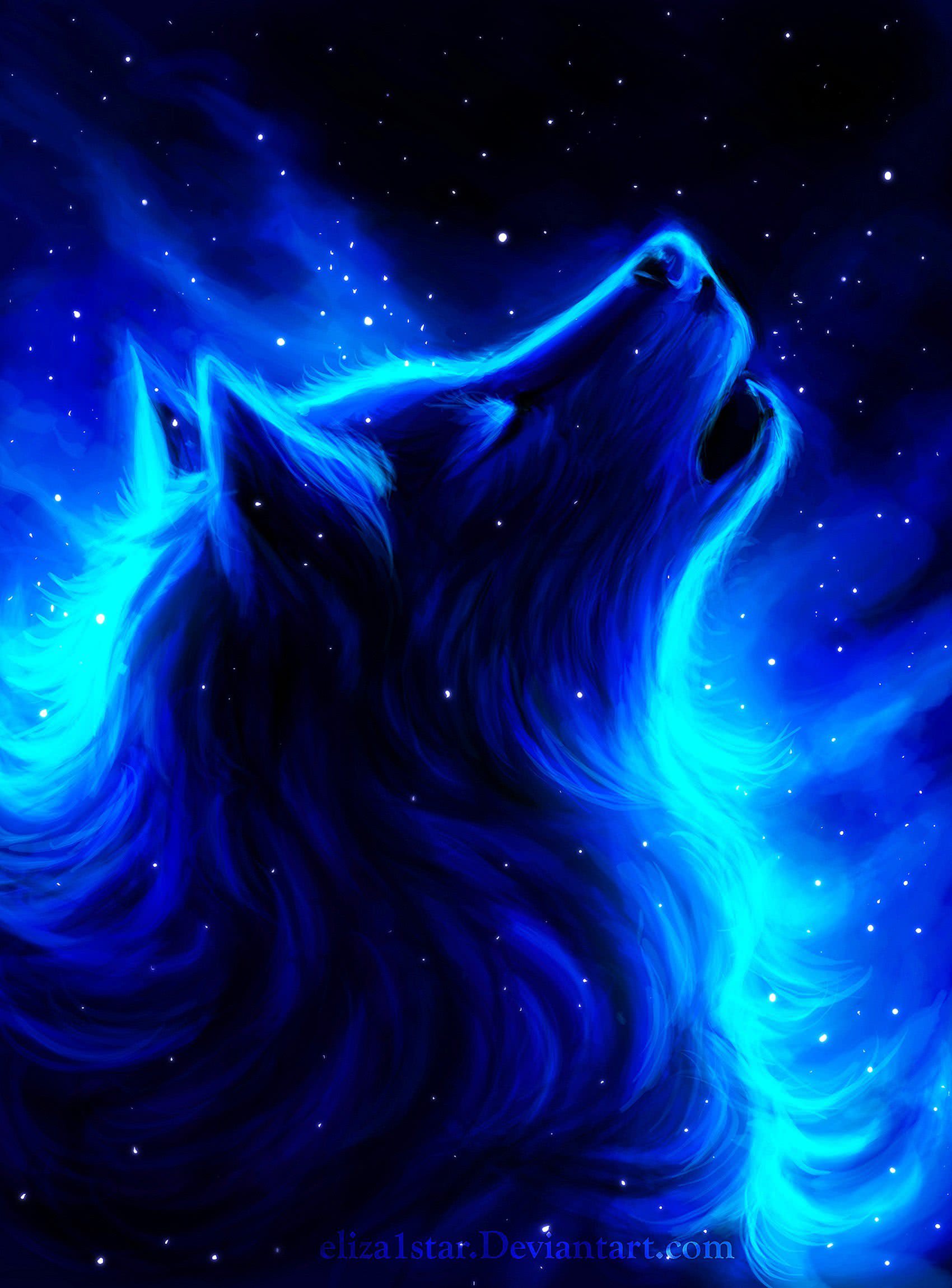 Cool Blue Wolf Wallpaper Image 39