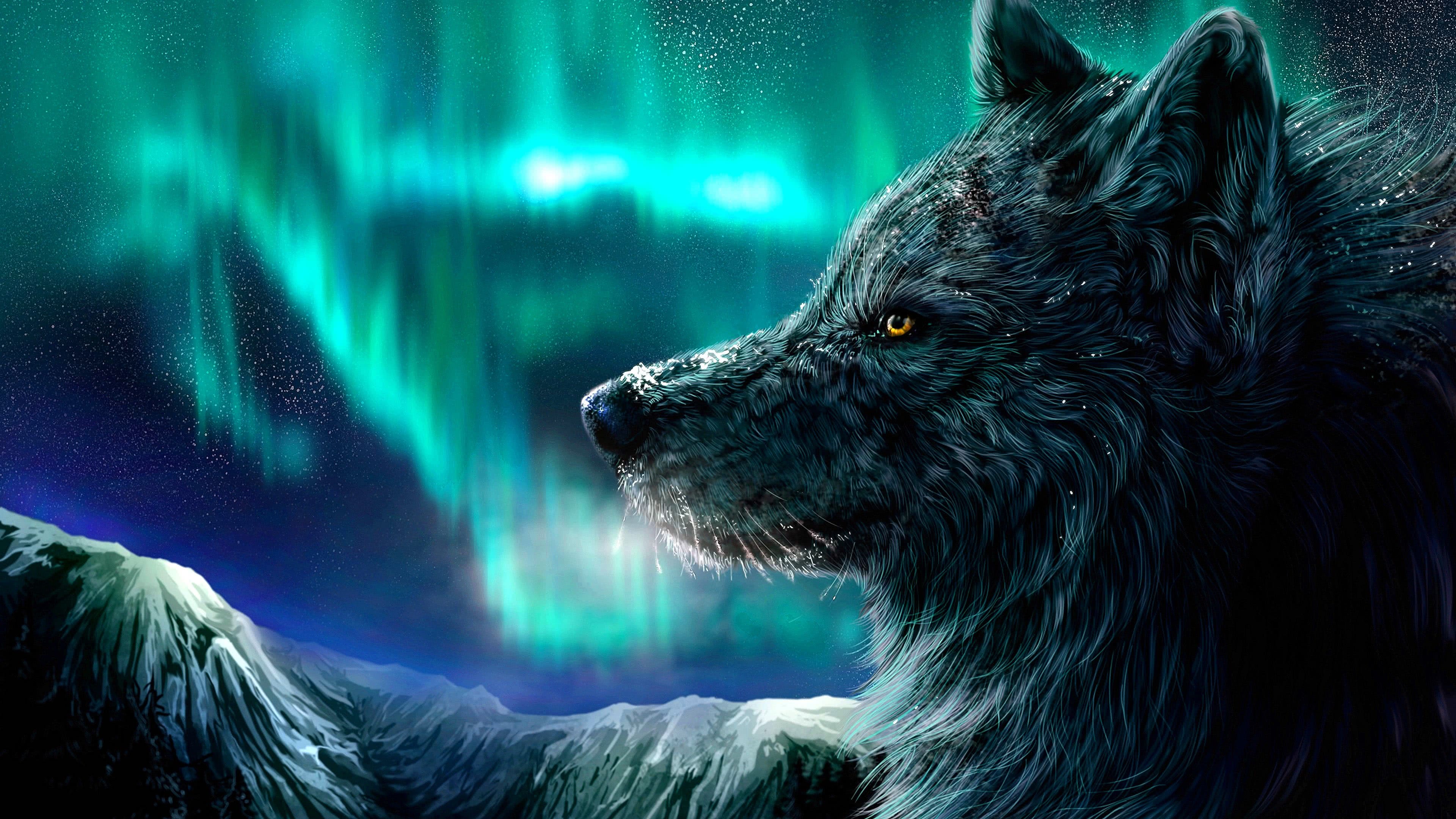 Cool Blue Wolf Wallpaper Image 25