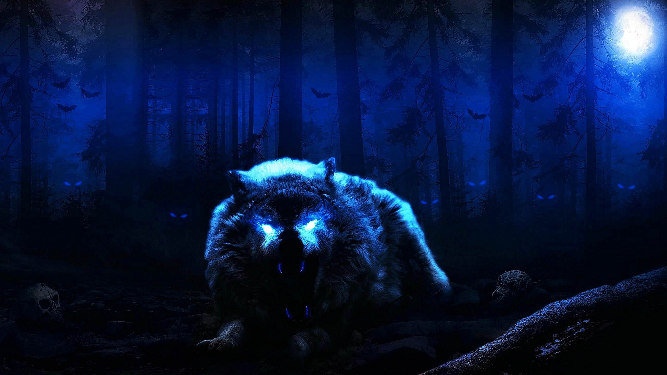 Cool Blue Wolf Wallpaper Image 44