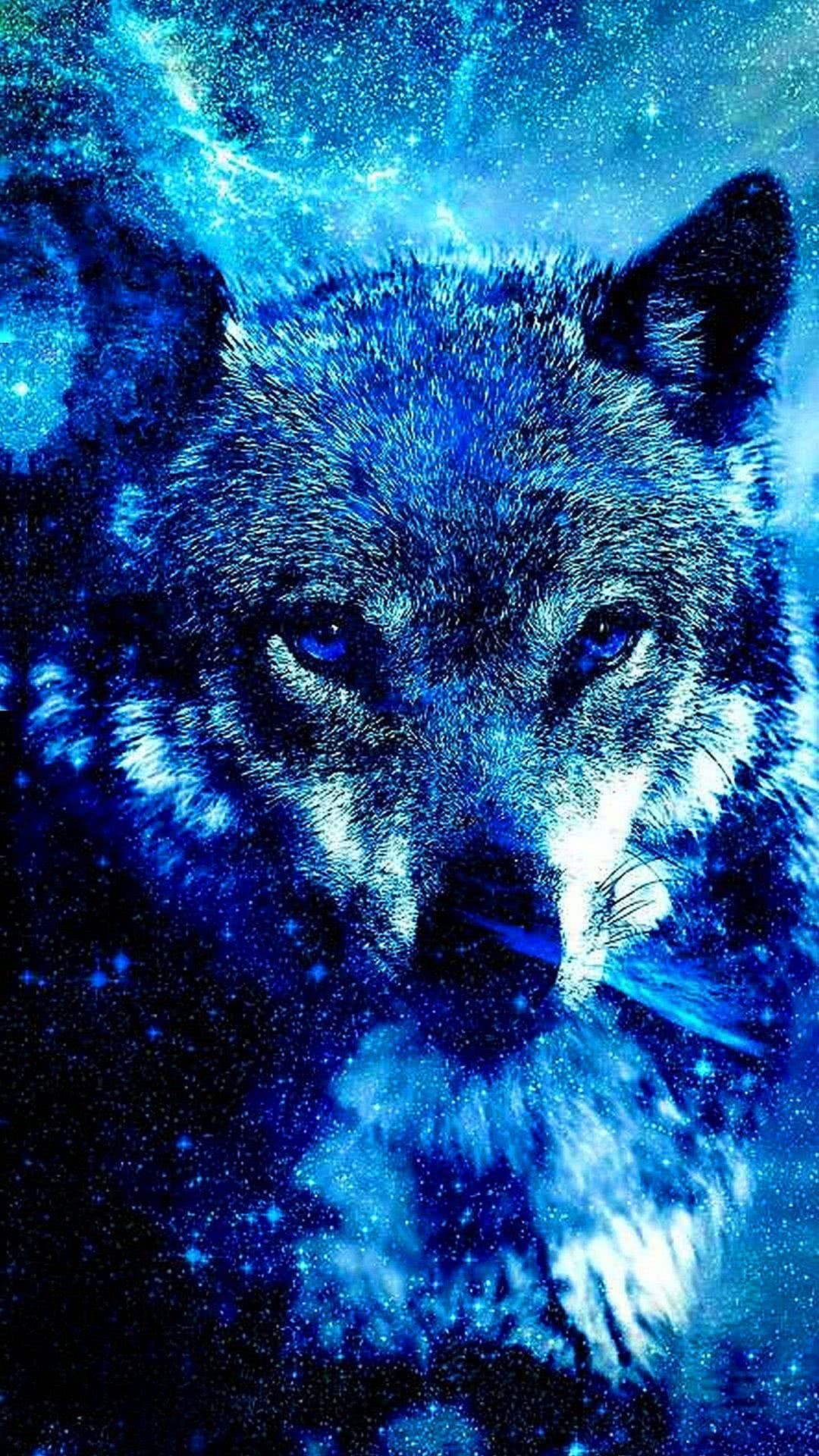 Cool Blue Wolf Wallpaper Image 48
