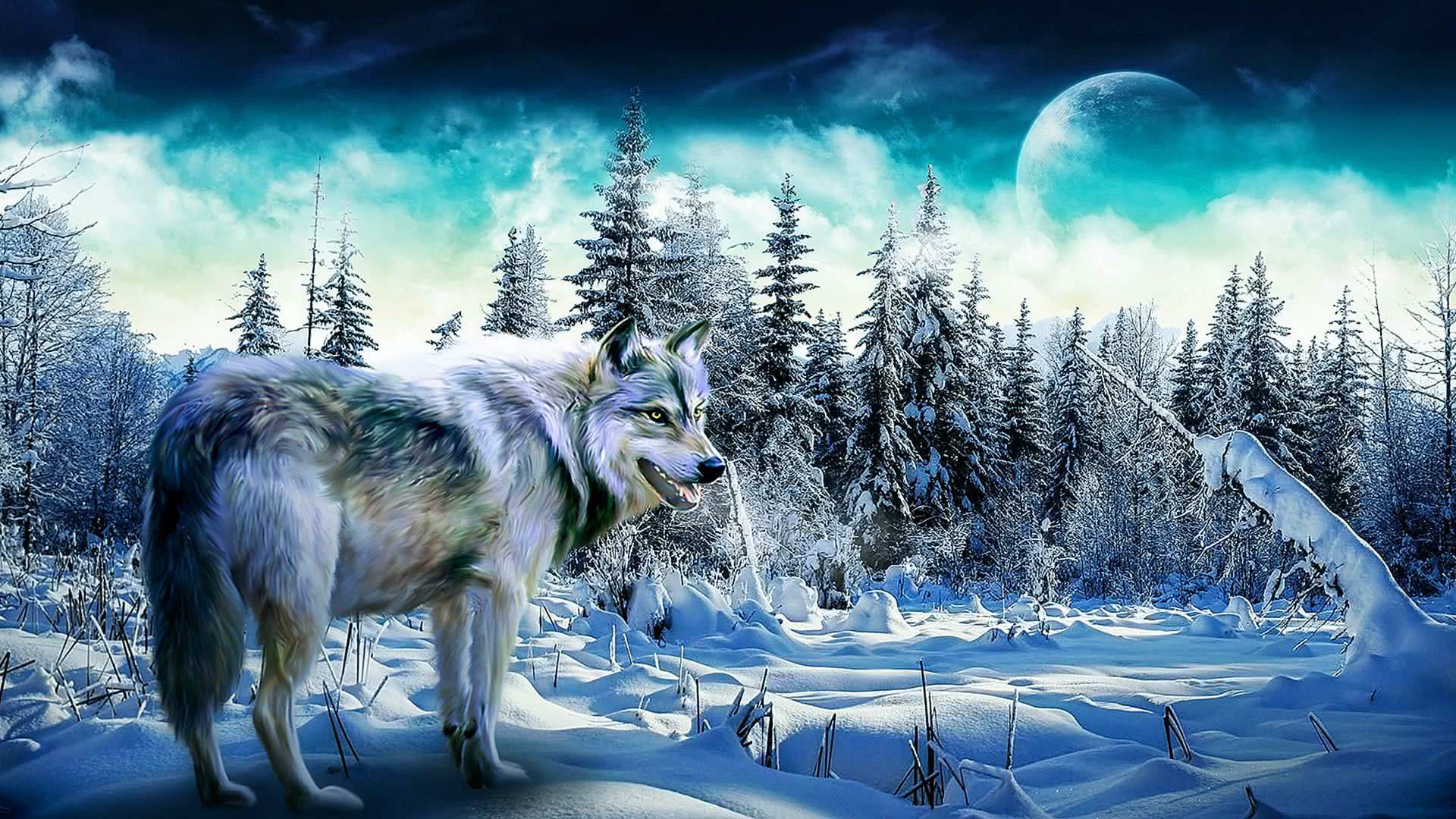 Cool Blue Wolf Wallpaper Image 49