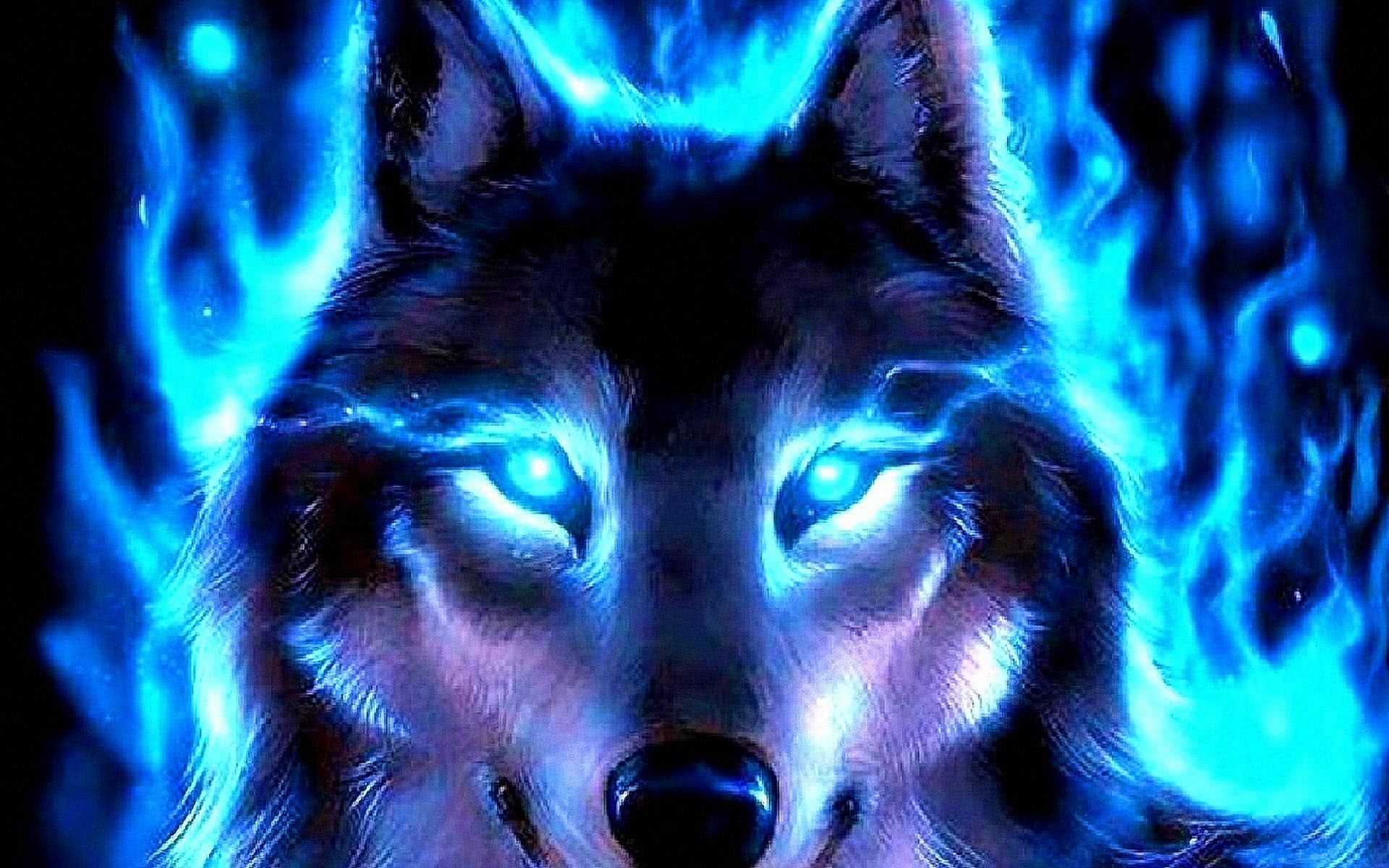 Cool Blue Wolf Wallpaper Image 52