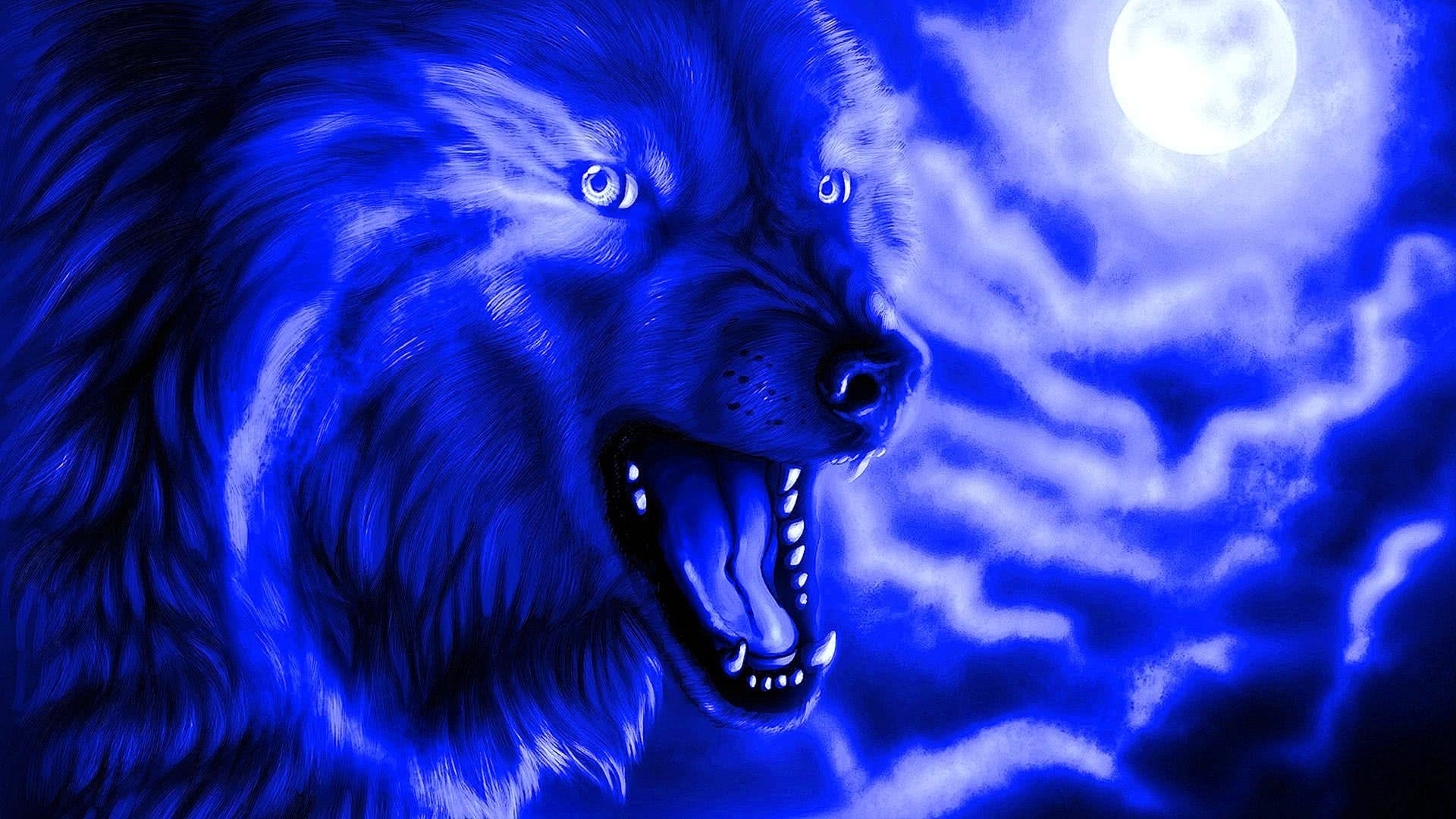Cool Blue Wolf Wallpaper Image 58