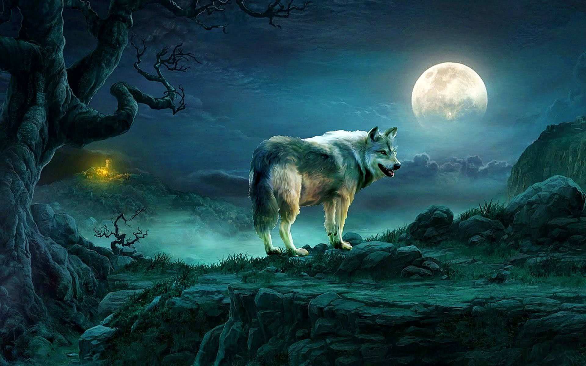 Cool Blue Wolf Wallpapers
