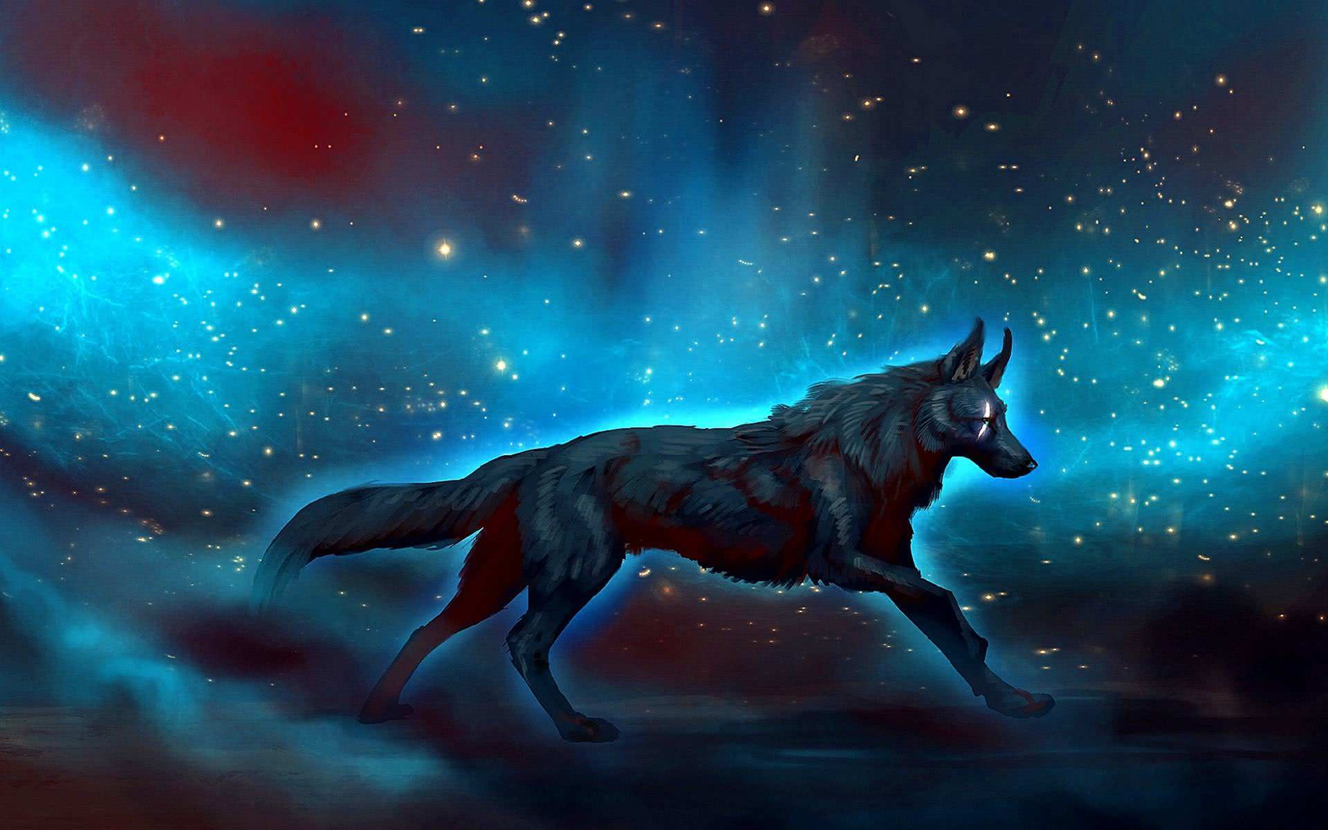 Cool Blue Wolf Wallpaper Image 63