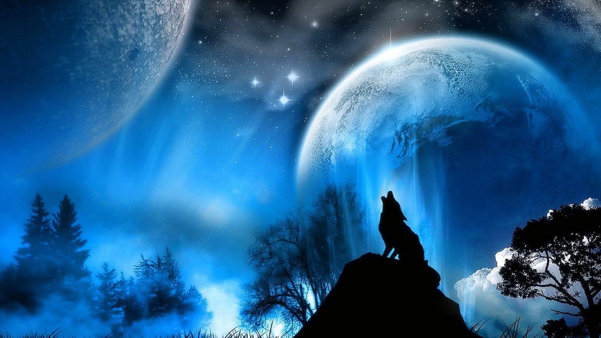 Cool Blue Wolf Wallpaper Image 64