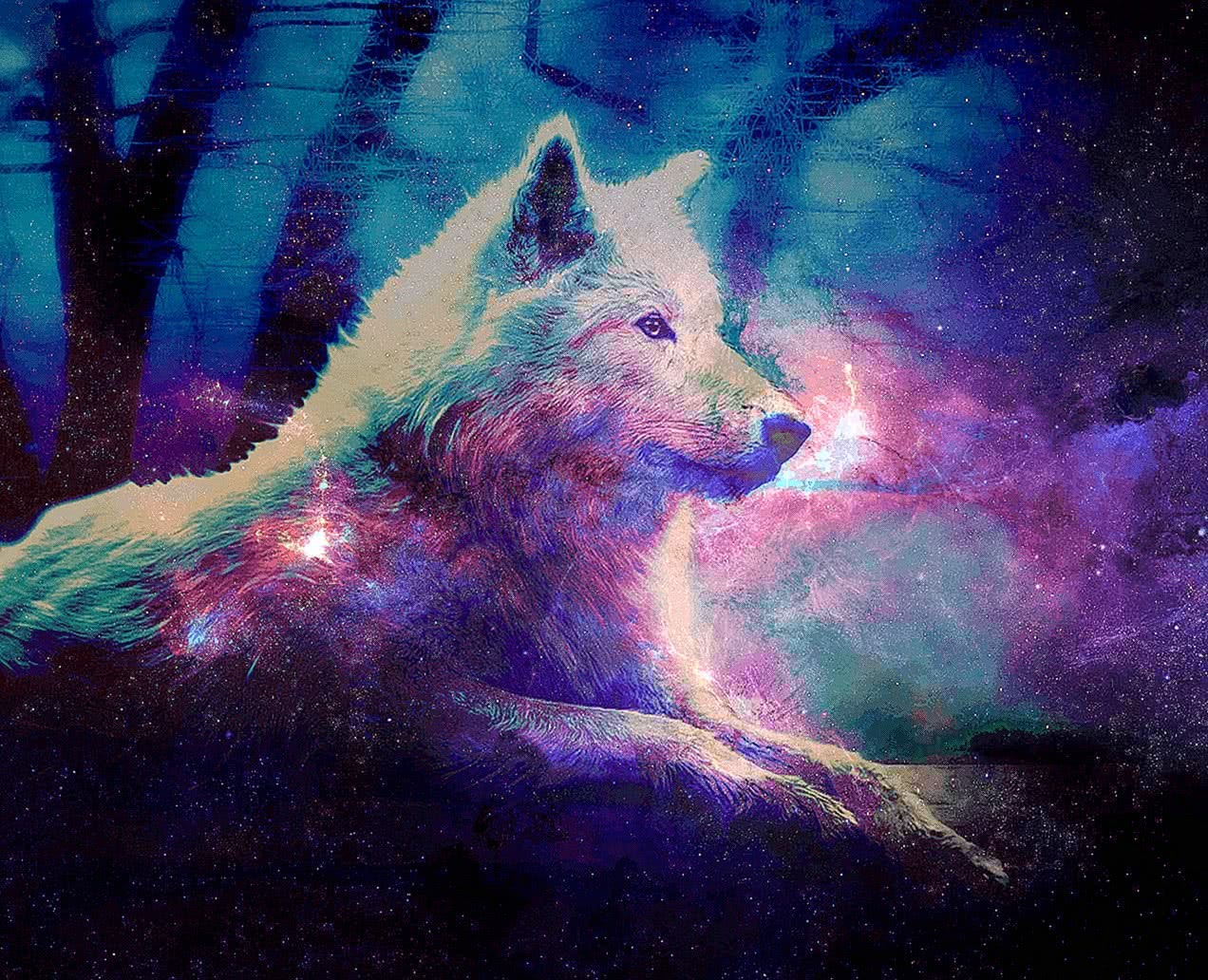 Cool Blue Wolf Wallpaper Image 66