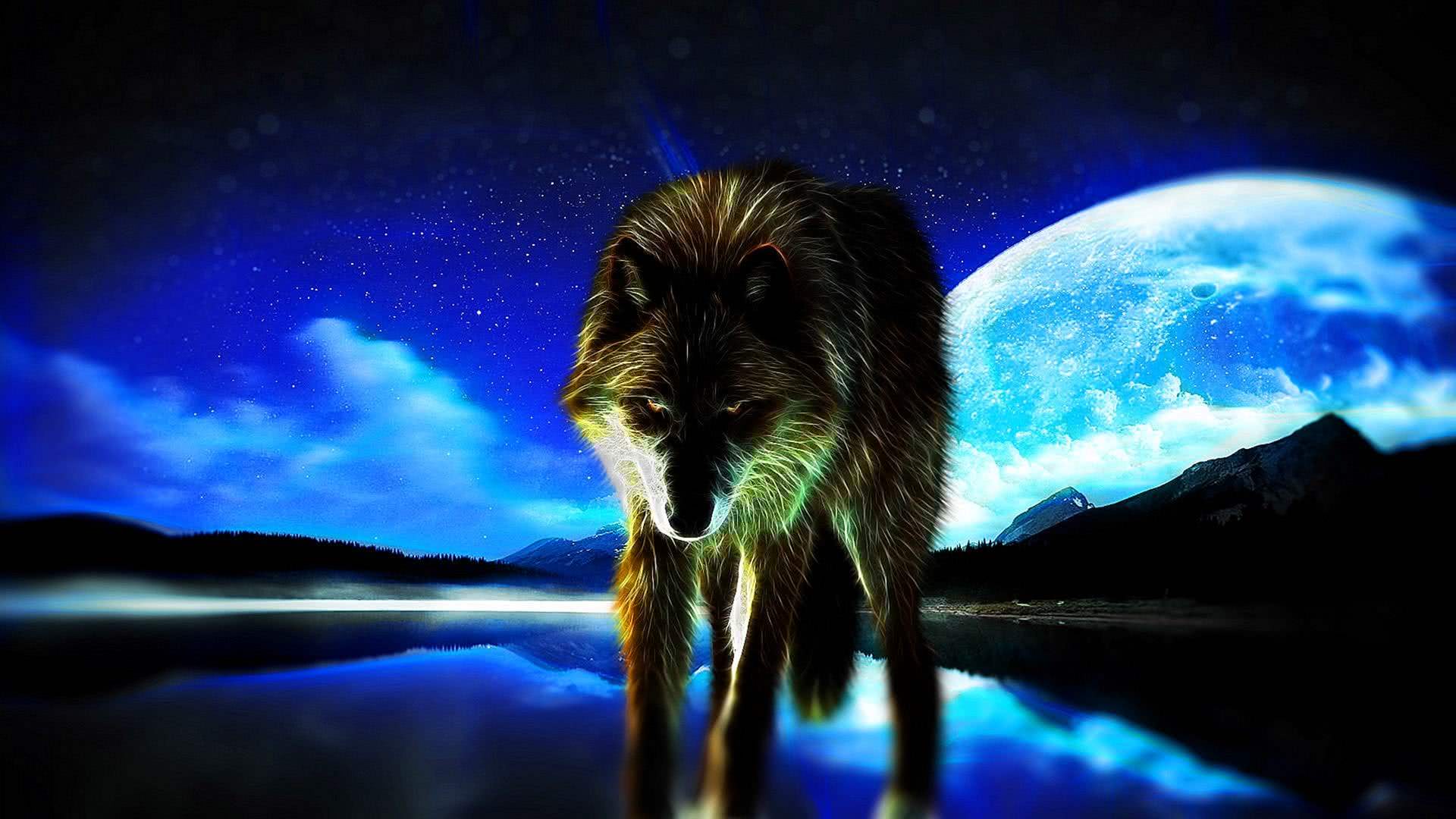 Cool Blue Wolf Wallpaper Image 68