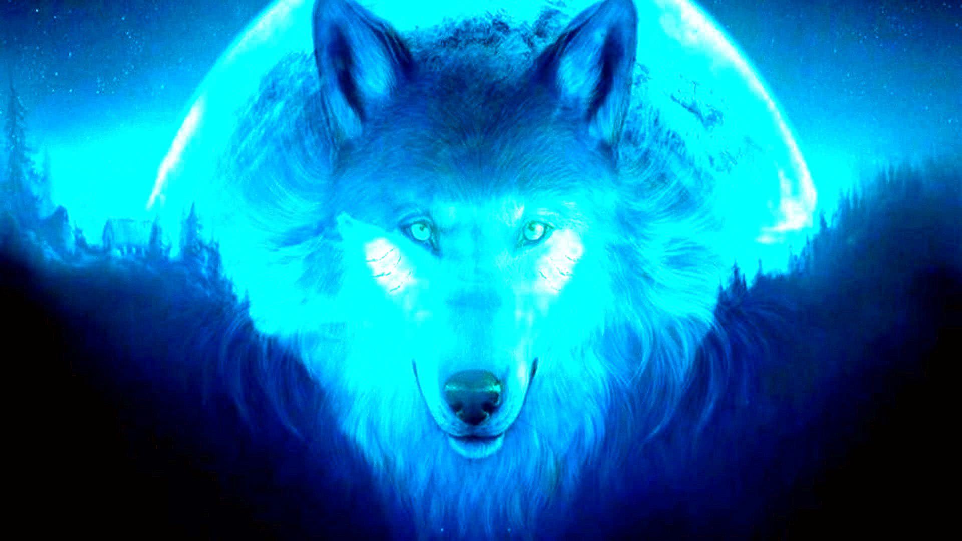 Cool Blue Wolf Wallpaper Image 69