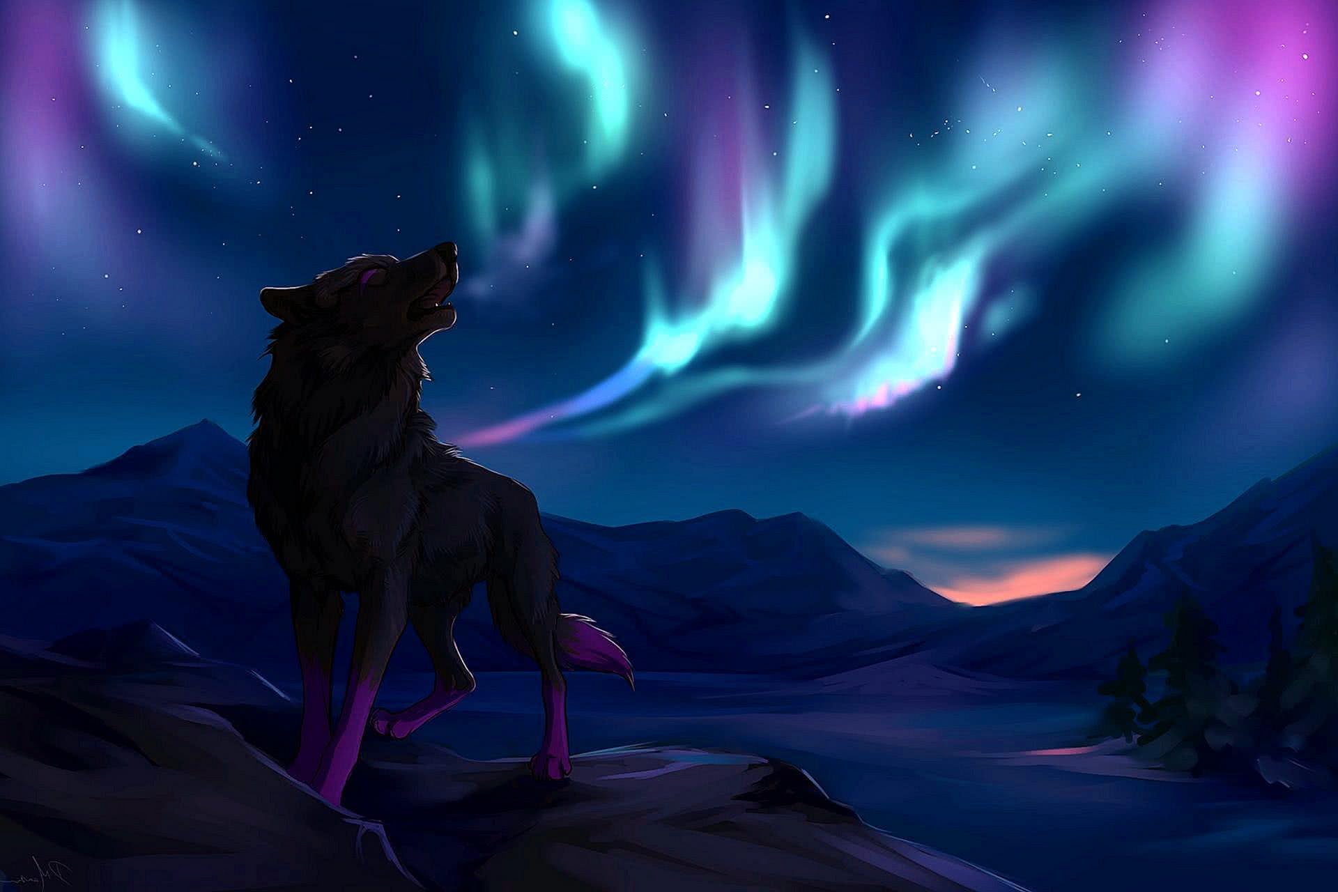Cool Blue Wolf Wallpaper Image 71