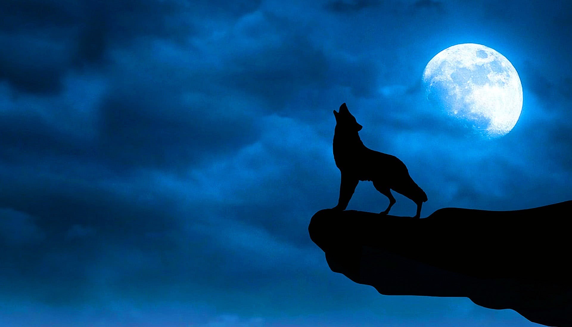 Cool Blue Wolf Wallpaper Image 72