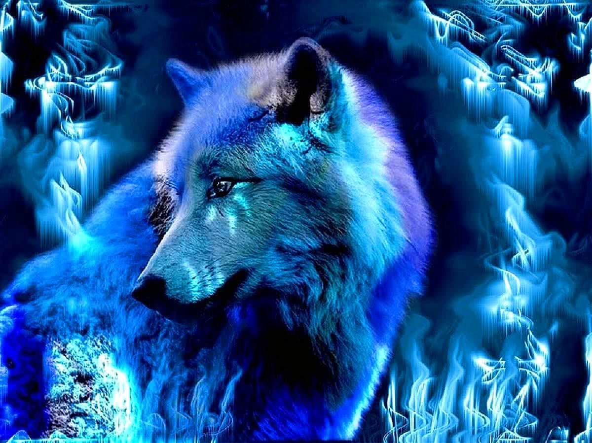Cool Blue Wolf Wallpaper Image 5