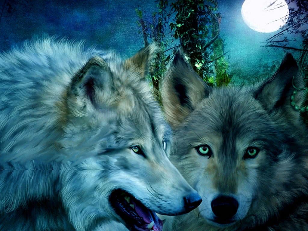 Cool Blue Wolf Wallpaper Image 8