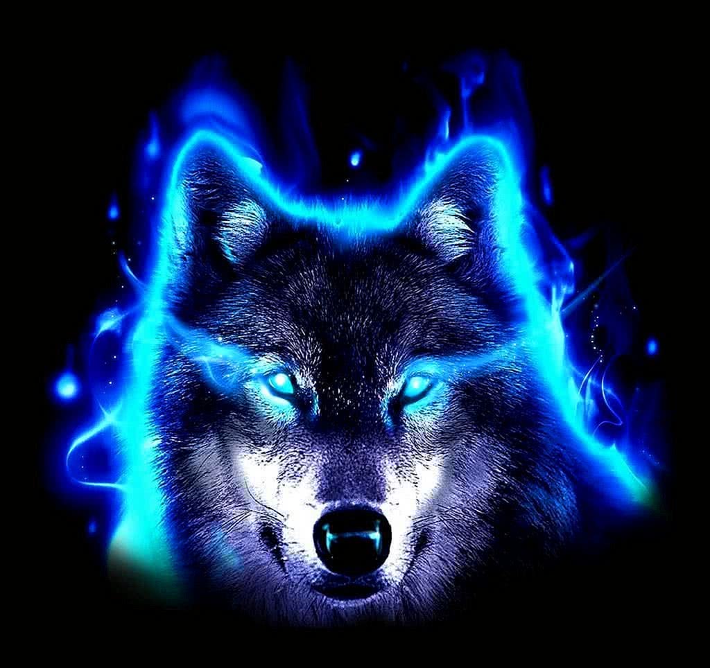Cool Blue Wolf Wallpaper Image 9
