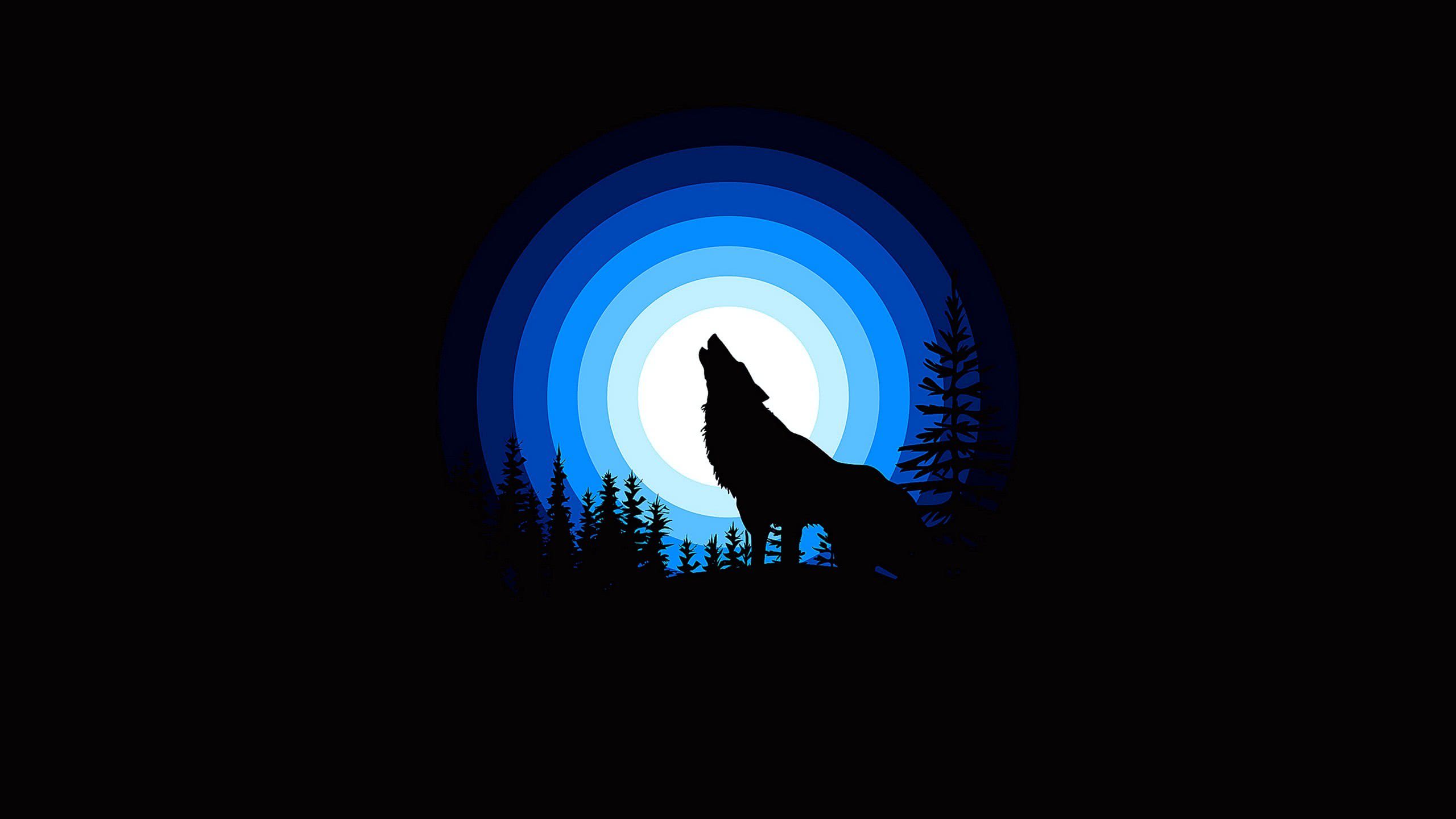 Cool Blue Wolf Wallpaper Image 10