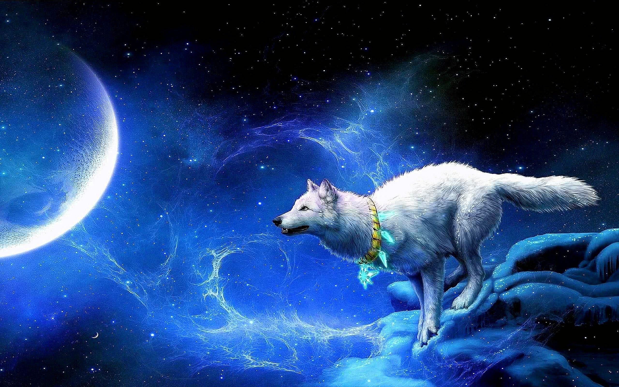 Cool Blue Wolf Wallpaper Image 29