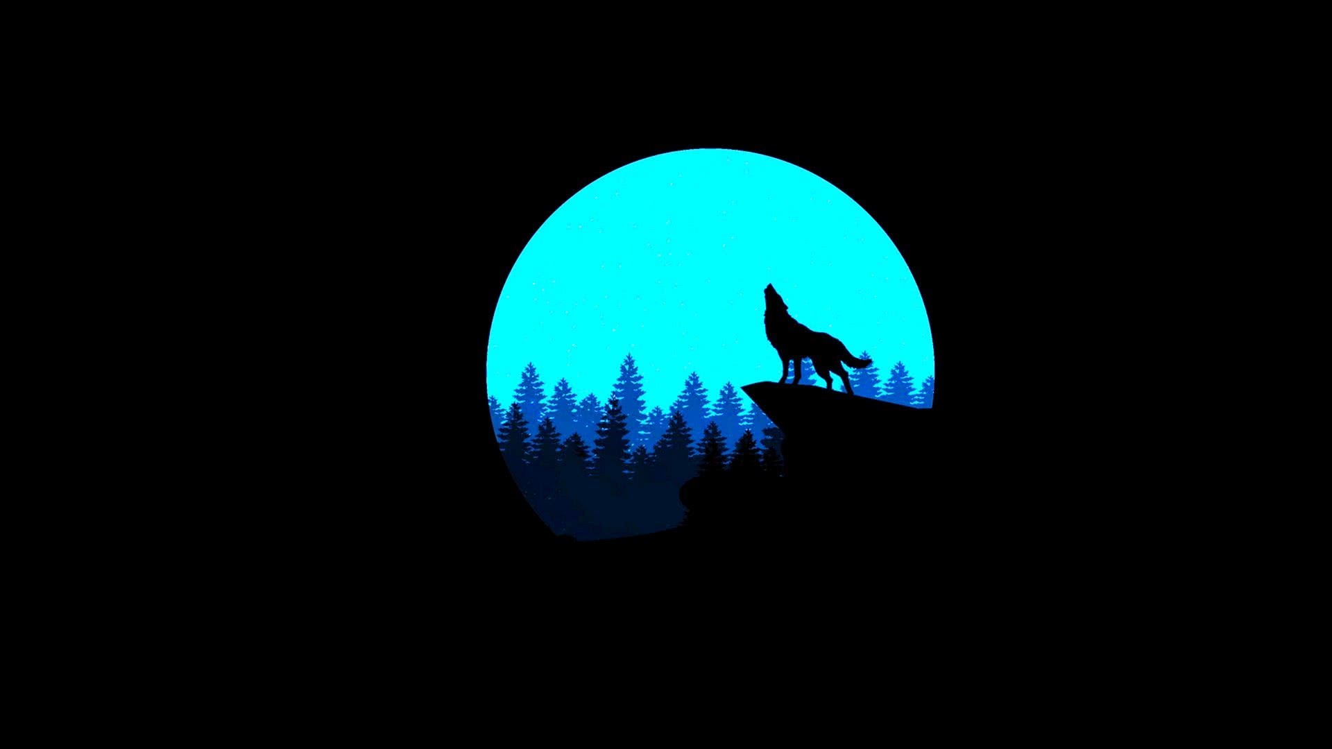 Cool Blue Wolf Wallpaper Image 11