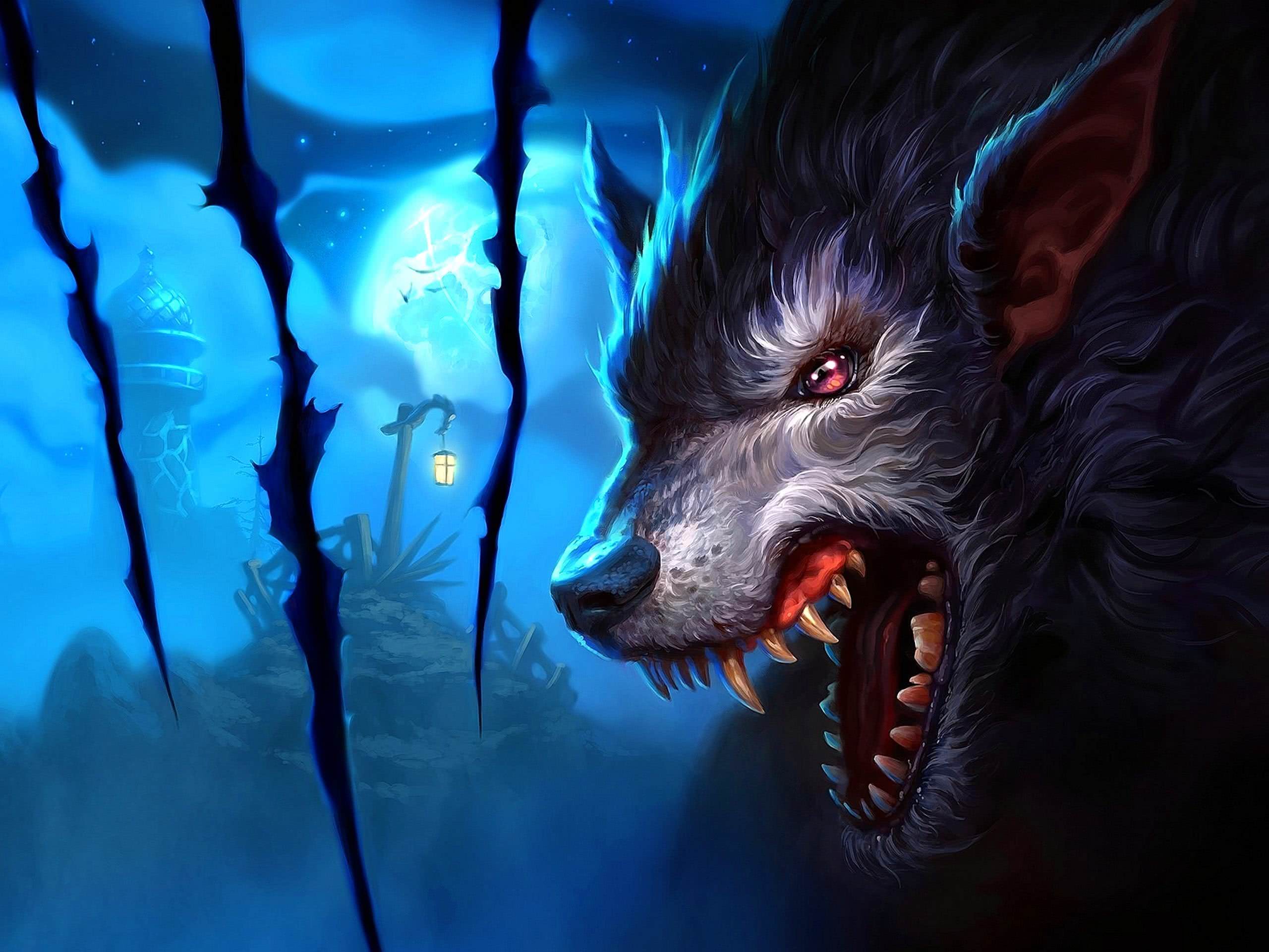 Cool Blue Wolf Wallpaper Image 30