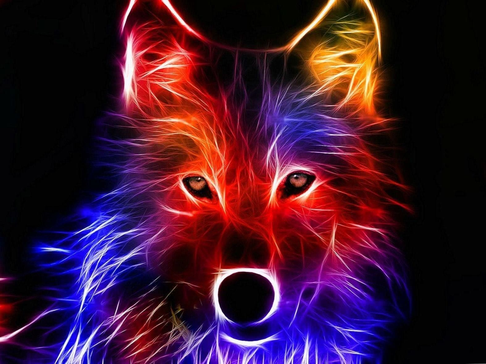 Colourful Wolf Wallpapers