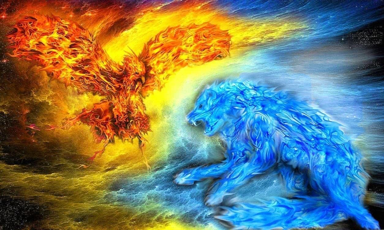 Fire And Water Wolf Wallpapers Wolf Wallpapers Pro