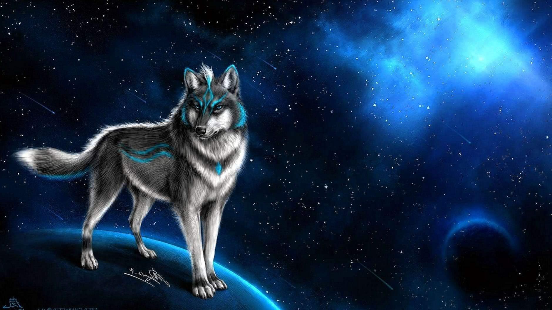 cool wallpaper of wolf background image 6