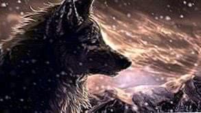 Cool Wolf Desktop Wallpaper Image 1
