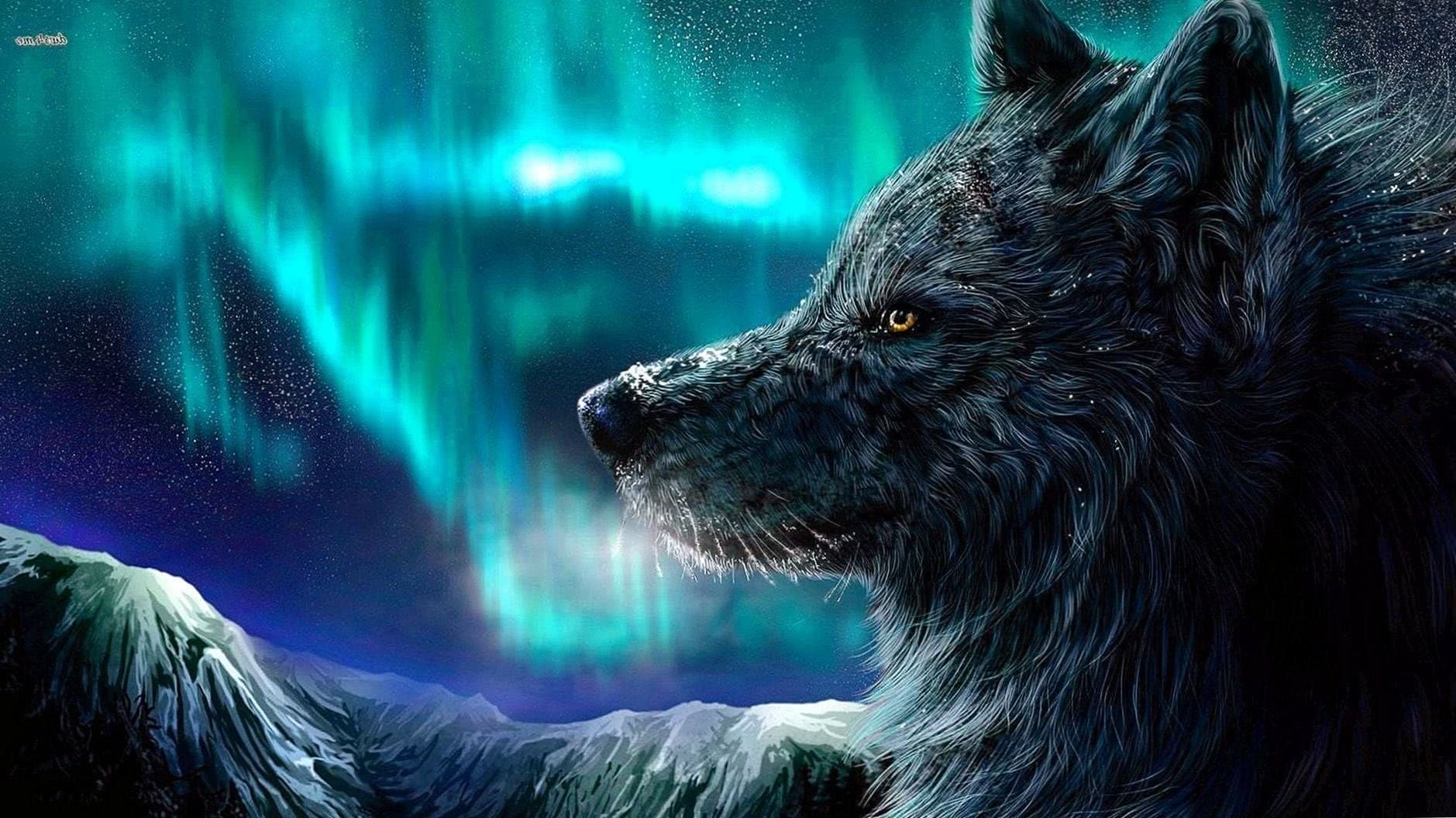 Cool Wolf 1080p Wallpapers
