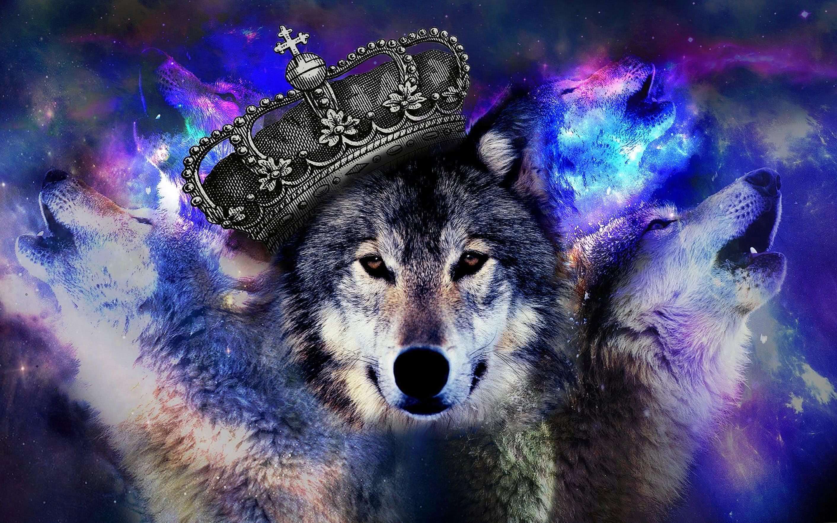 Cool Wolf Pictures Wallpapers