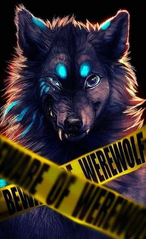 Cool Wolf Wallpapers Apk