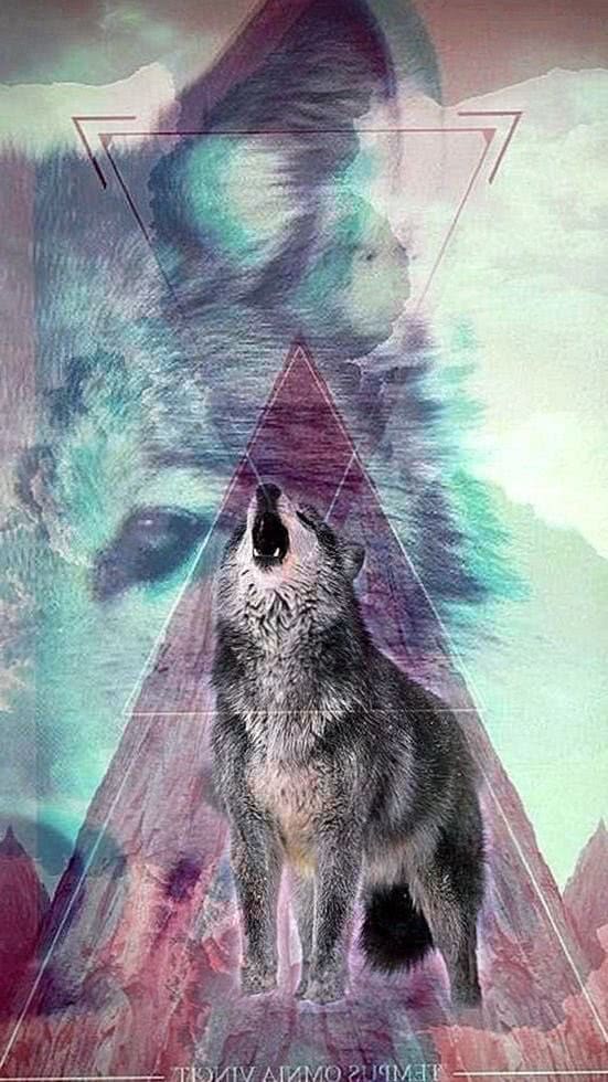 cool wolf wallpaper for iphone background image 4