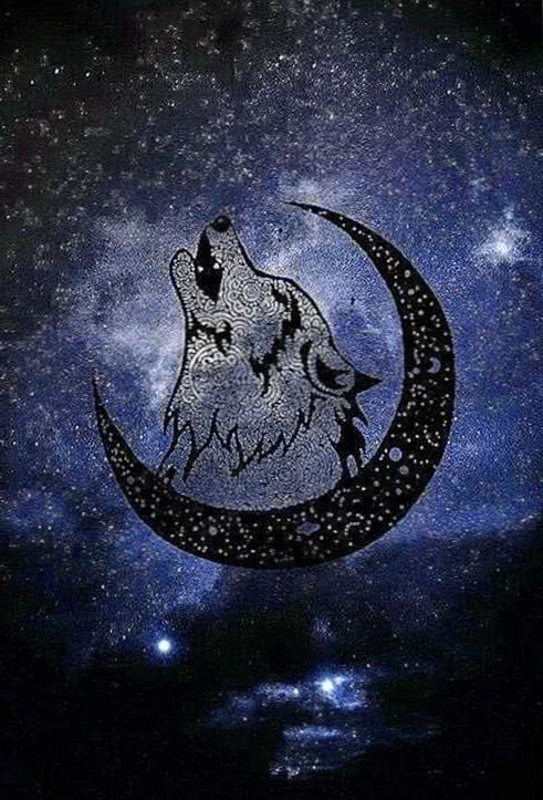 Crescent Moon Wallpaper Wolf Image 1