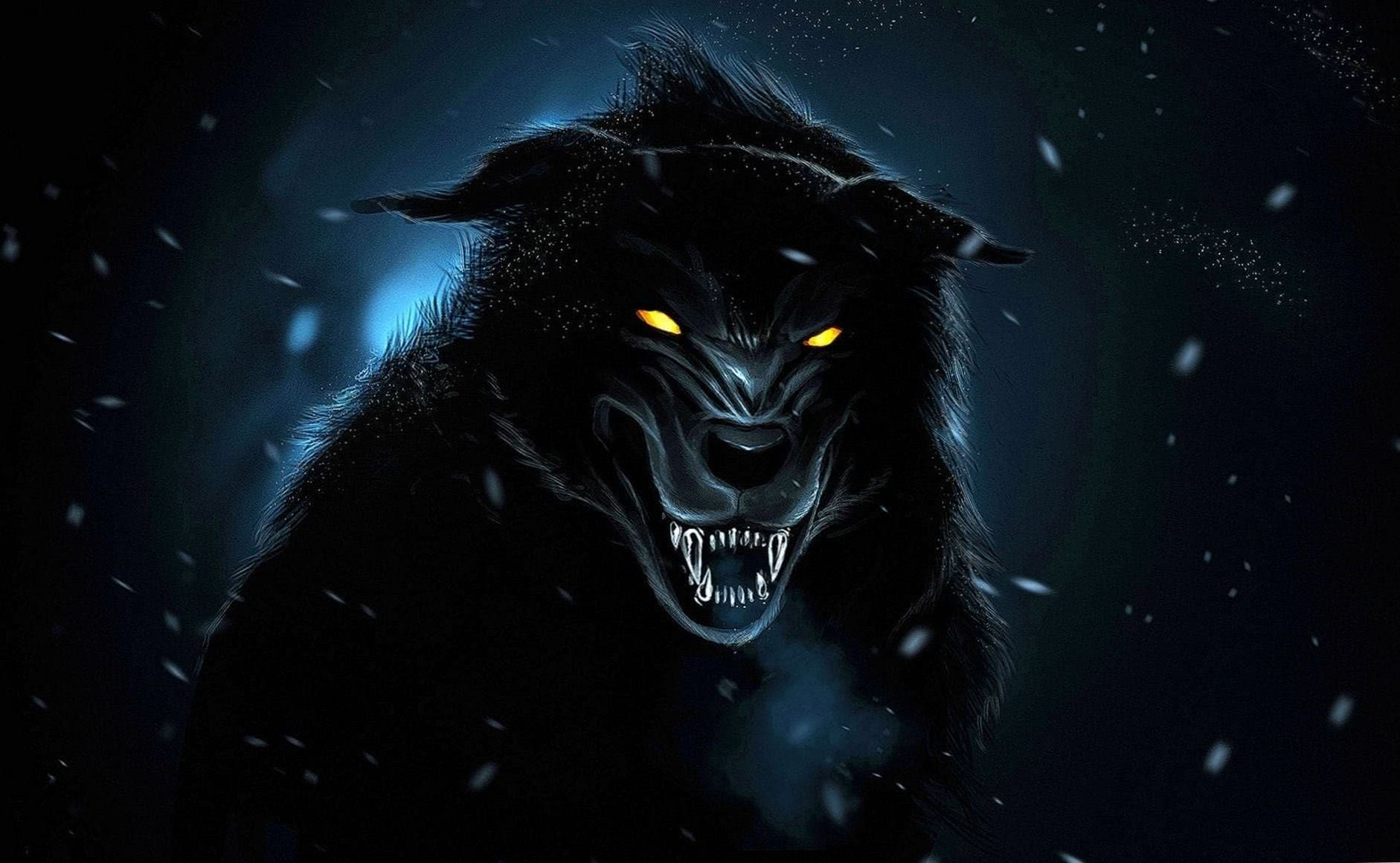 Black Wolf Wallpapers HD