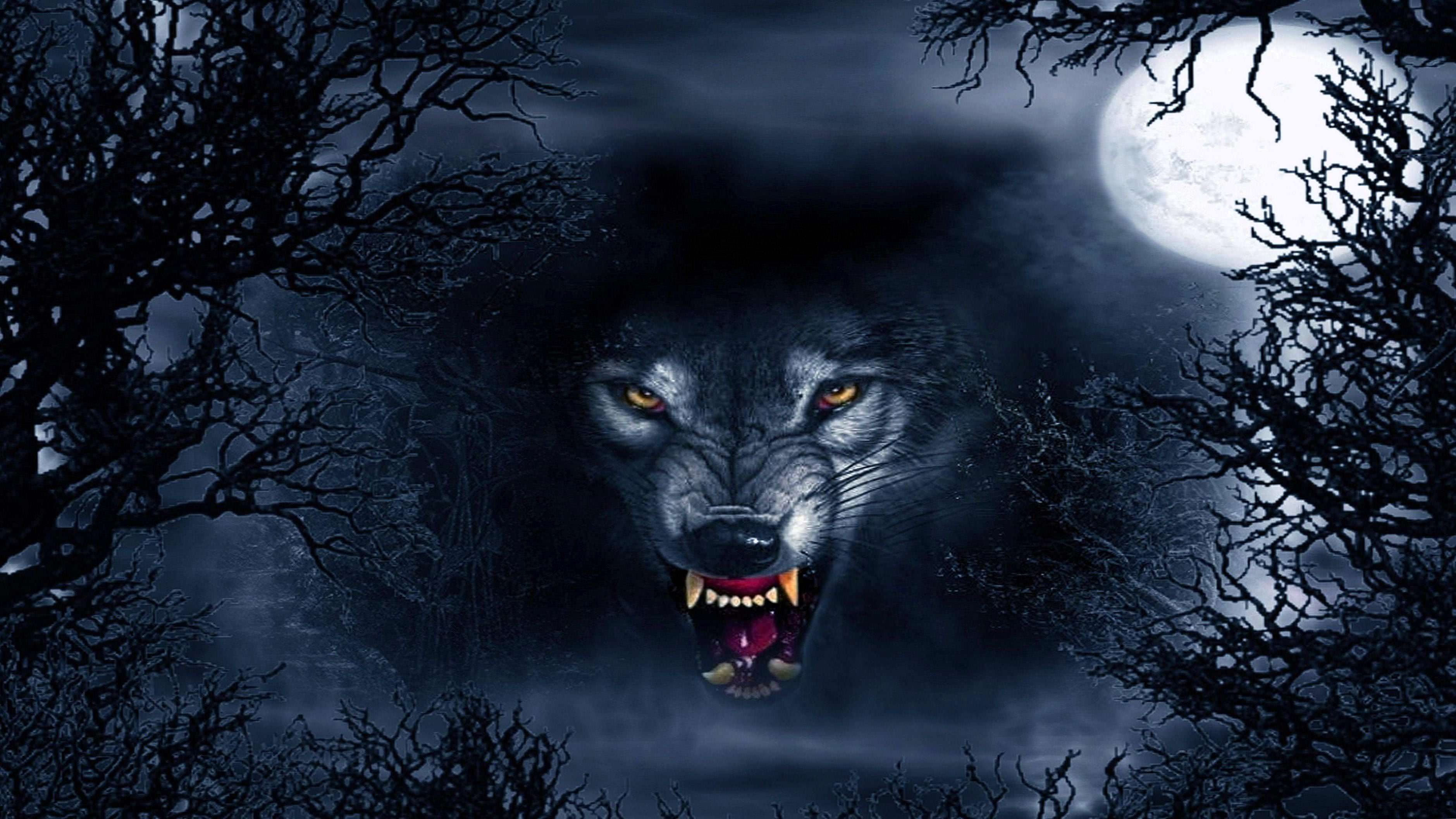 wolf dark 1920×1080 wallpaper background image 3