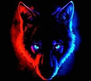 Blue And Red Wolf Wallpaper Image 1