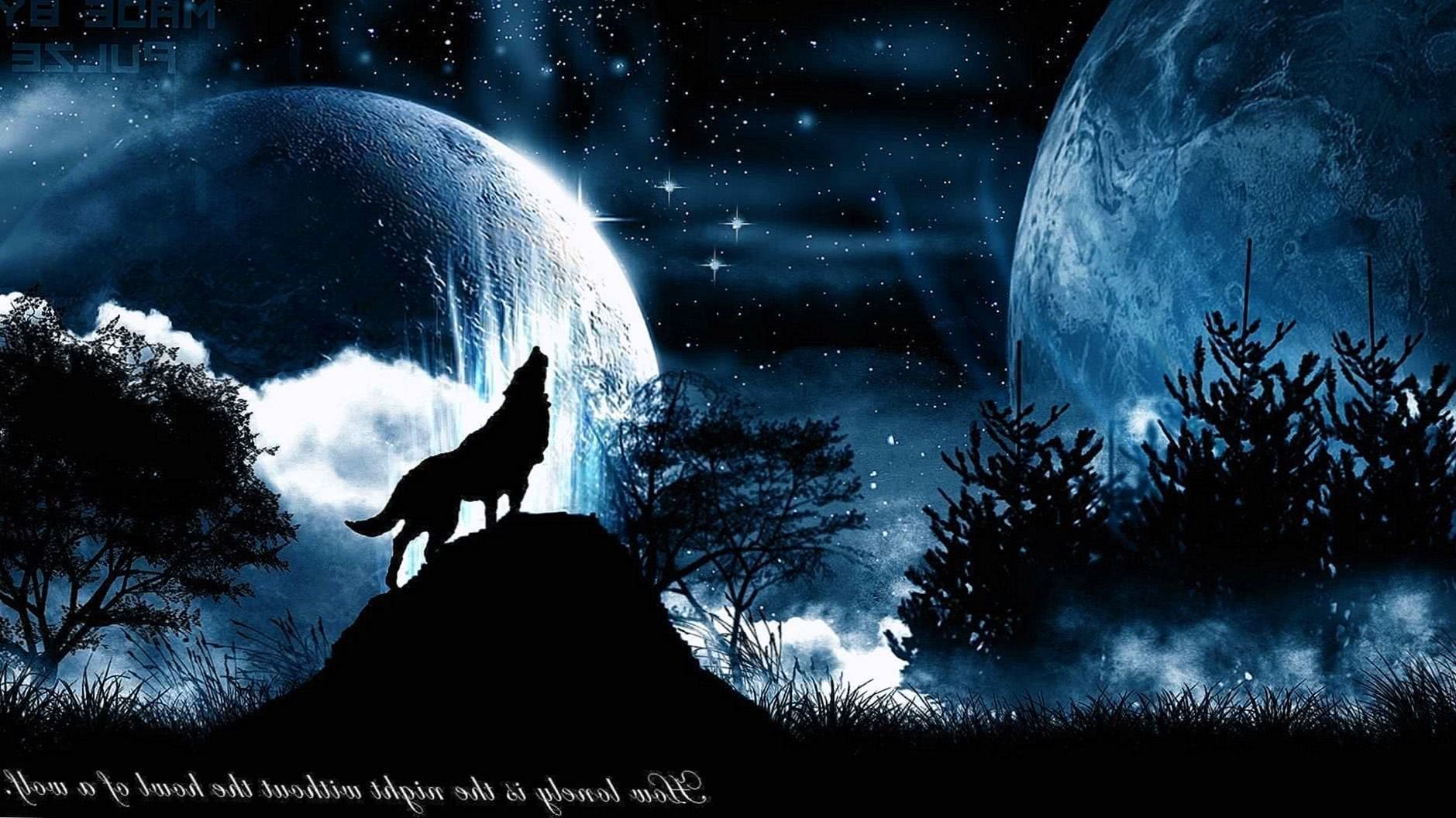 Wolf Dark Wallpaper 1920x1080 Image 1