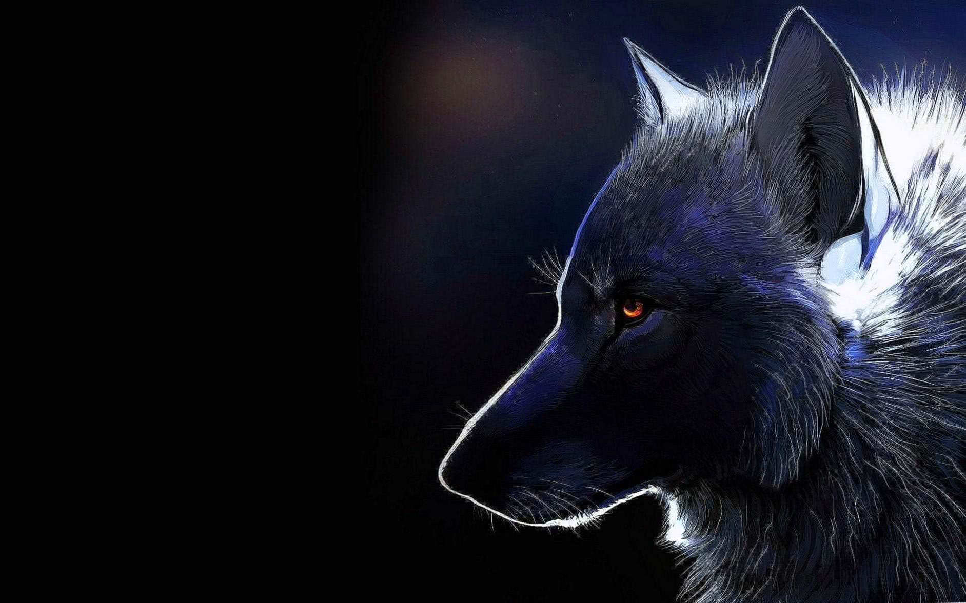Dark Wolf Mobile Wallpaper Image 1